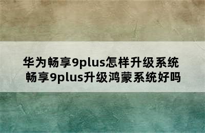 华为畅享9plus怎样升级系统 畅享9plus升级鸿蒙系统好吗